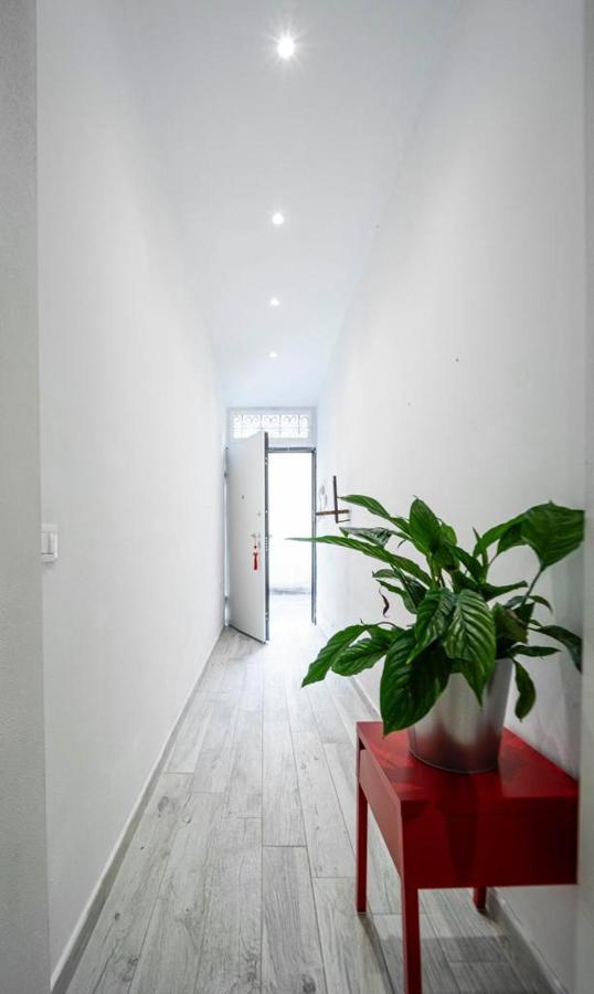 Appartement Puccinotti House à Florence Extérieur photo